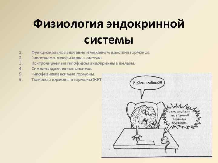 Физиология эндокринной системы 1. 2. 3. 4. 5. 6. Функциональное значение и механизм действия
