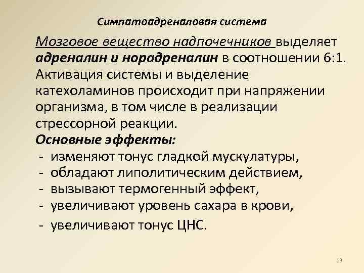 Симпатоадреналовая система Мозговое вещество надпочечников выделяет адреналин и норадреналин в соотношении 6: 1. Активация