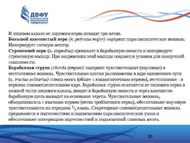 В лицевом канале от лицевого нерва отходят три ветви. Большой каменистый нерв (n. petrosus