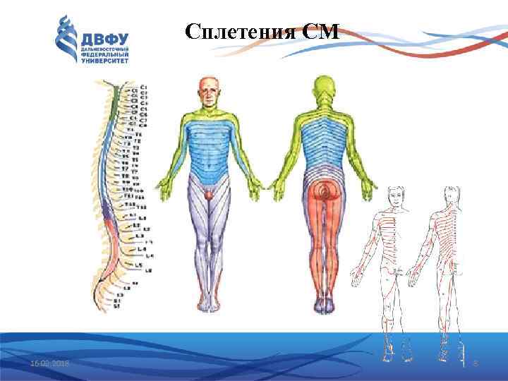 Сплетения СМ 16. 02. 2018 8 