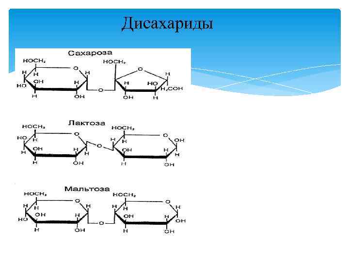 Дисахариды 