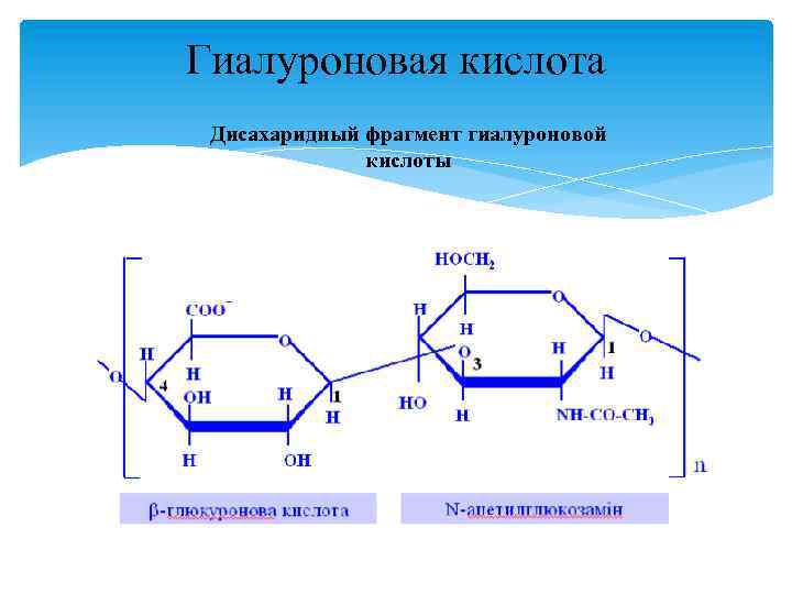 Гиалуроновая кислота Дисахаридный фрагмент гиалуроновой кислоты 