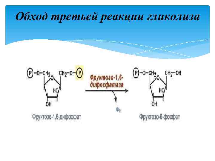 Обход третьей реакции гликолиза 