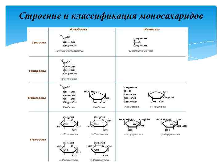 Строение и классификация моносахаридов 