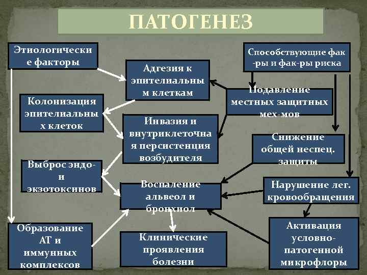 ПАТОГЕНЕЗ Этиологически е факторы Колонизация эпителиальны х клеток Выброс эндо- и экзотоксинов Образование АТ