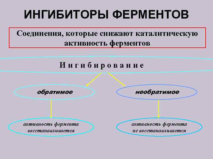 Блокаторы ферментов. Ингибиторы ферментов. Ингибитор. Ингибитор это в химии. Обратимое и необратимое действие регуляторов.