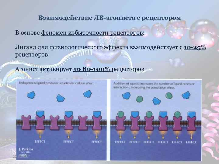 Взаимодействие ЛВ-агониста с рецептором В основе феномен избыточности рецепторов: Лиганд для физиологического эффекта взаимодействует