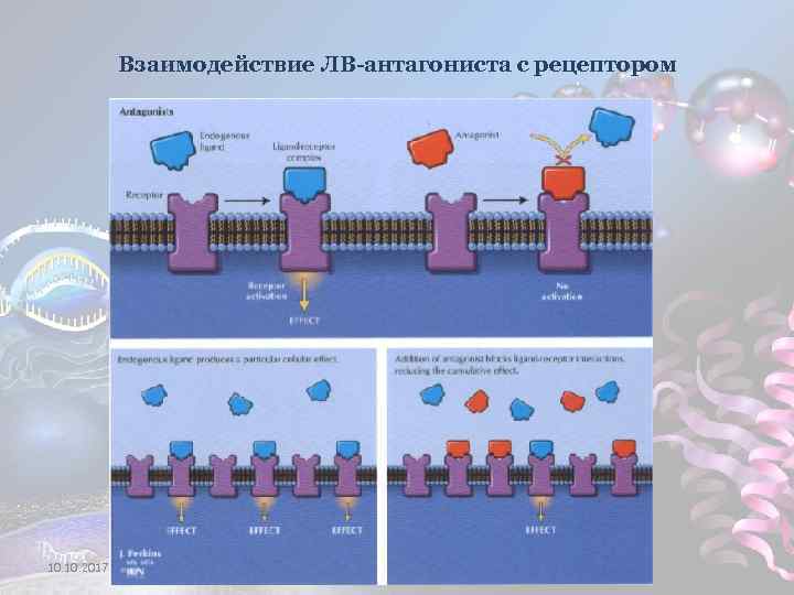 Взаимодействие ЛВ-антагониста с рецептором 10. 2017 