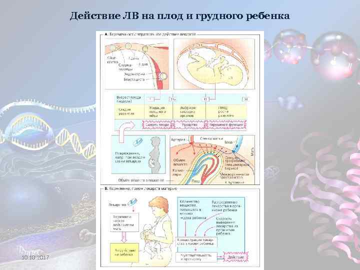 Действие ЛВ на плод и грудного ребенка 10. 2017 