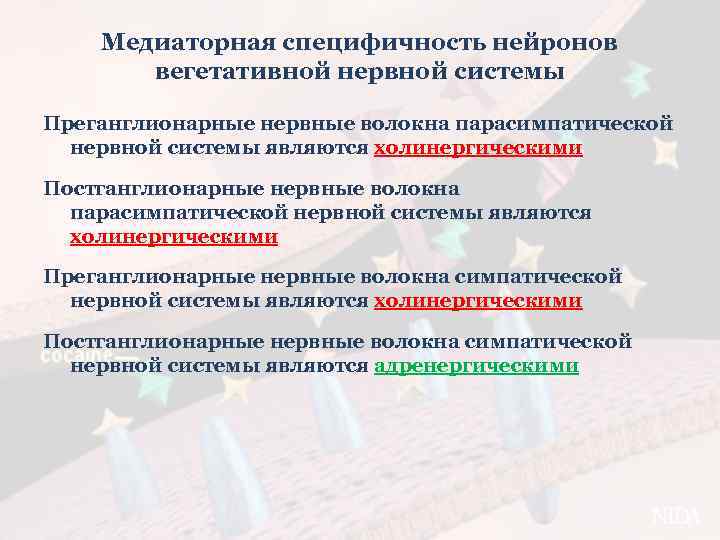 Медиаторная специфичность нейронов вегетативной нервной системы Преганглионарные нервные волокна парасимпатической нервной системы являются холинергическими