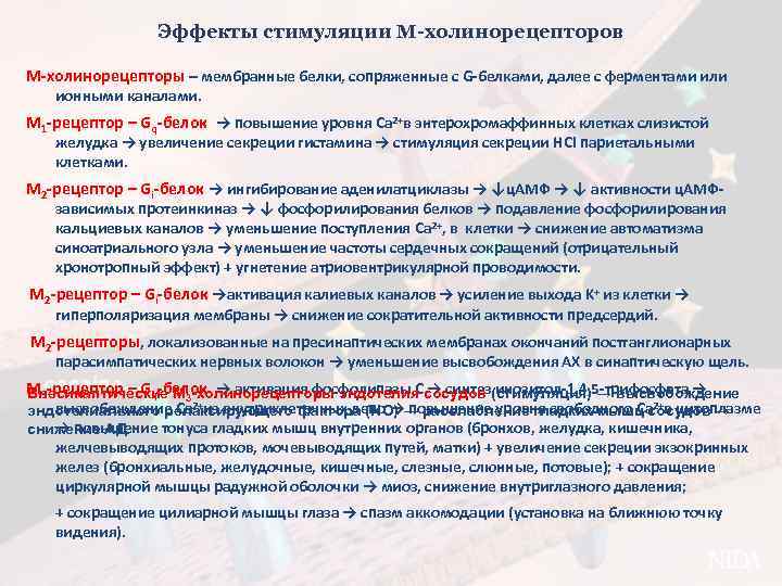 Эффекты стимуляции М-холинорецепторов М-холинорецепторы – мембранные белки, сопряженные с G-белками, далее с ферментами или