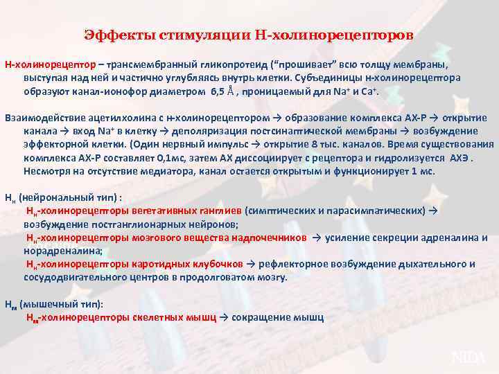 Эффекты стимуляции Н-холинорецепторов Н-холинорецептор – трансмембранный гликопротеид (“прошивает” всю толщу мембраны, выступая над ней