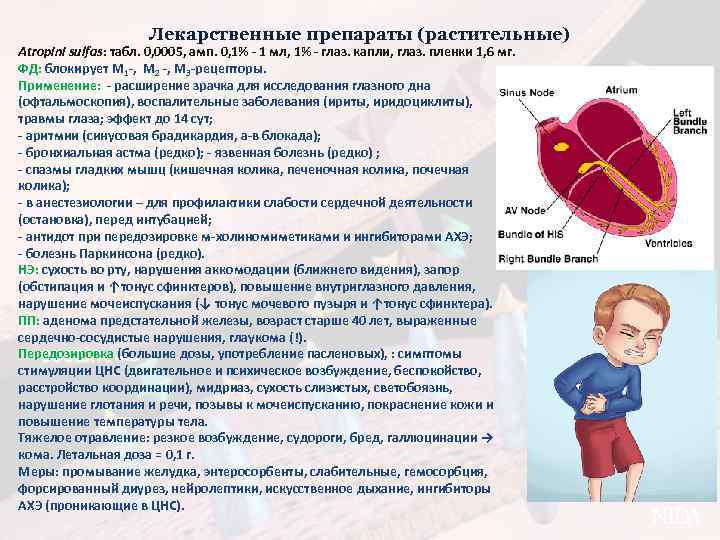 Лекарственные препараты (растительные) Atropini sulfas: табл. 0, 0005, амп. 0, 1% - 1 мл,