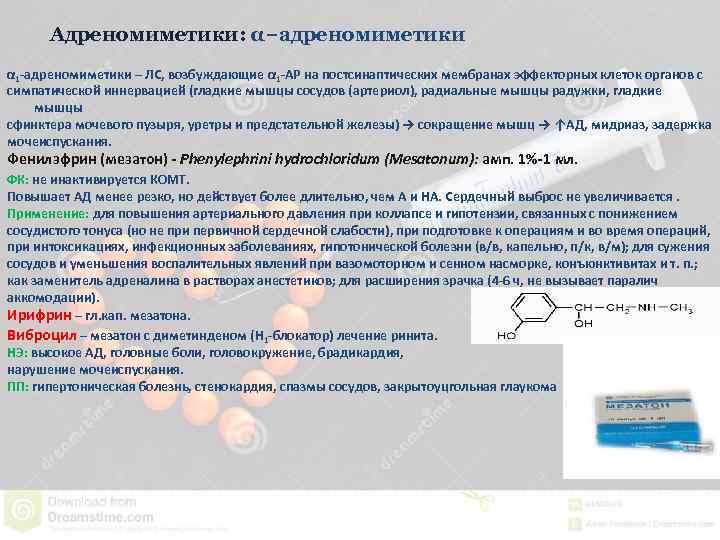 Адреномиметики: α−адреномиметики α 1 -адреномиметики – ЛС, возбуждающие α 1 -АР на постсинаптических мембранах