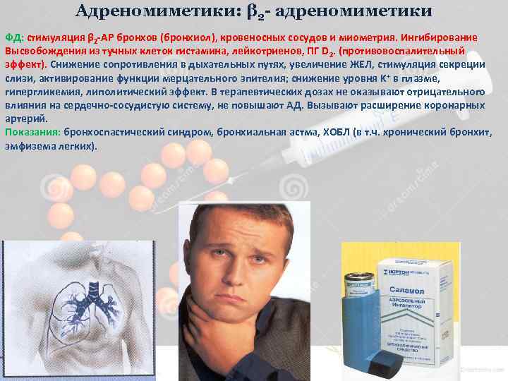 Адреномиметики: β 2 - адреномиметики ФД: стимуляция β 2 -АР бронхов (бронхиол), кровеносных сосудов