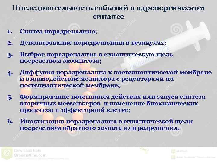 Последовательность событий в адренергическом синапсе 1. Синтез норадреналина; 2. Депонирование норадреналина в везикулах; 3.