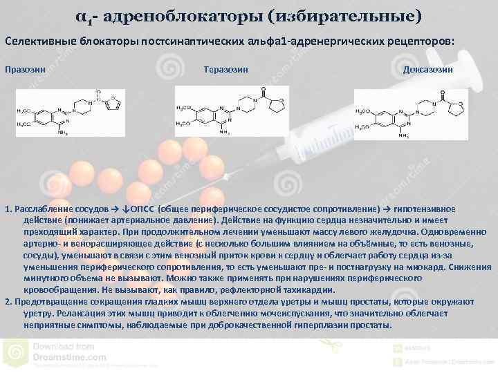 α 1 - адреноблокаторы (избирательные) Селективные блокаторы постсинаптических альфа 1 -адренергических рецепторов: Празозин Теразозин
