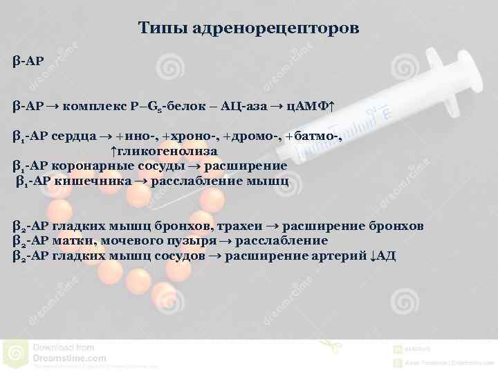 Типы адренорецепторов β-АР → комплекс Р–Gs-белок – АЦ-аза → ц. АМФ↑ β 1 -АР