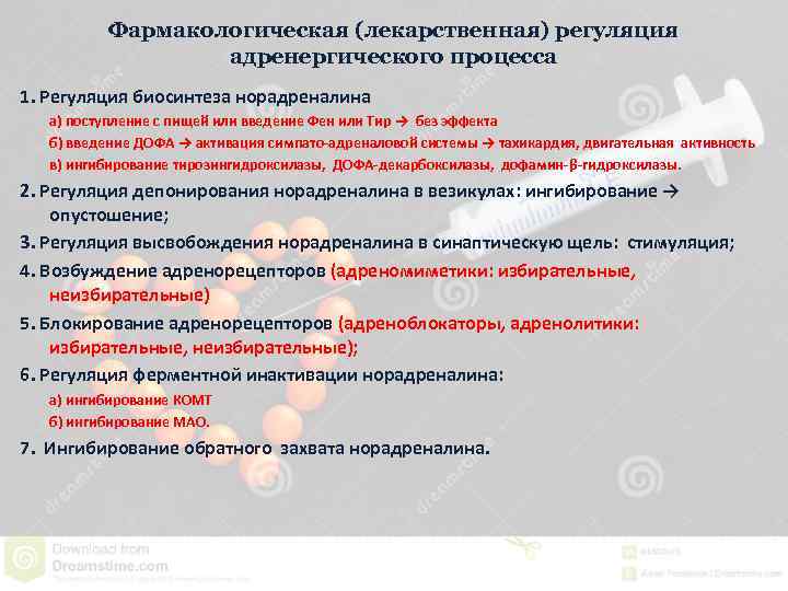 Фармакологическая (лекарственная) регуляция адренергического процесса 1. Регуляция биосинтеза норадреналина а) поступление с пищей или