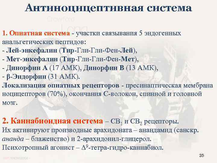 Антиноцицептивная система 1. Опиатная система - участки связывания 5 эндогенных анальгетических пептидов: - Лей-энкефалин