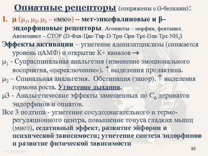 Опиатные рецепторы (сопряжены с G-белками): 1. ( 1, 2, 3 – «мю» ) –