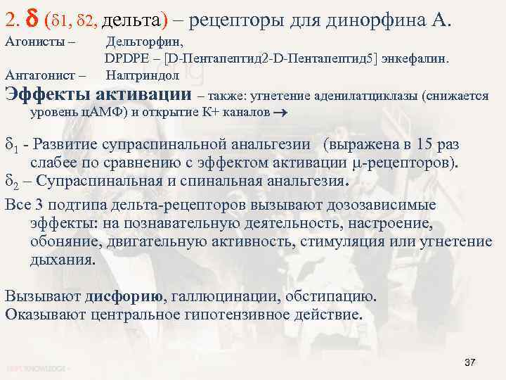 2. ( 1, 2, дельта) – рецепторы для динорфина А. Агонисты – Дельторфин, DPDPE