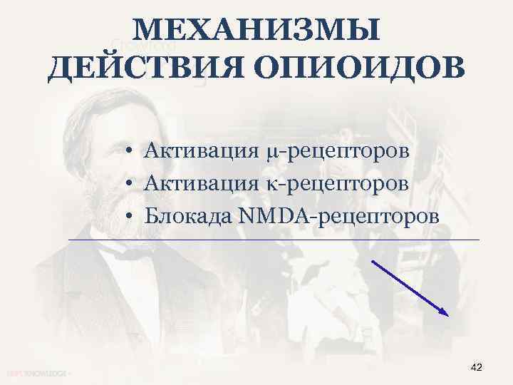 МЕХАНИЗМЫ ДЕЙСТВИЯ ОПИОИДОВ • Активация -рецепторов • Блокада NMDA-рецепторов 42 