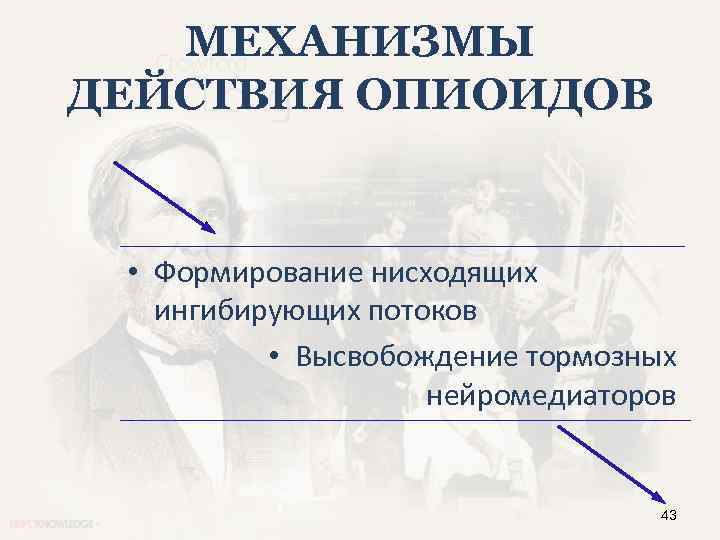 МЕХАНИЗМЫ ДЕЙСТВИЯ ОПИОИДОВ • Формирование нисходящих ингибирующих потоков • Высвобождение тормозных нейромедиаторов 43 