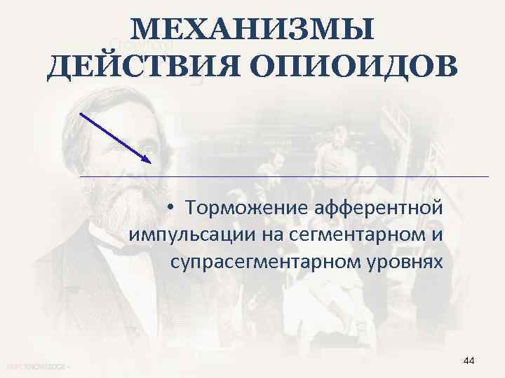 МЕХАНИЗМЫ ДЕЙСТВИЯ ОПИОИДОВ • Торможение афферентной импульсации на сегментарном и супрасегментарном уровнях 44 