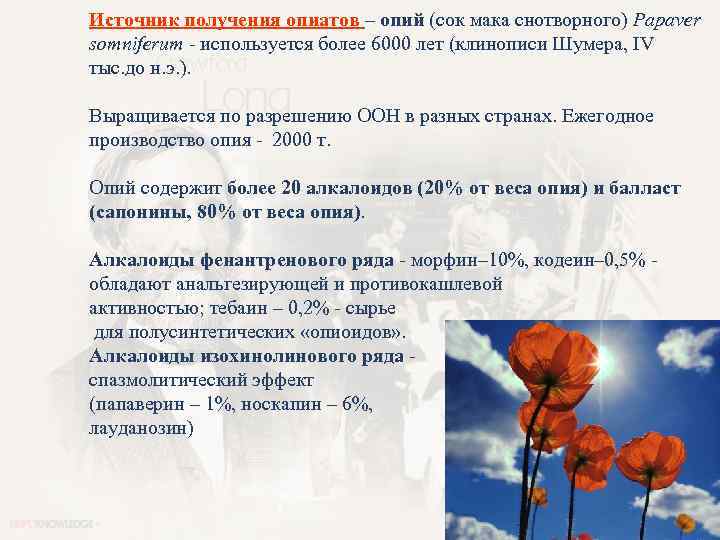 Источник получения опиатов – опий (сок мака снотворного) Papaver somniferum - используется более 6000