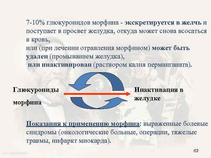 7 -10% глюкуронидов морфина - экскретируется в желчь и поступает в просвет желудка, откуда
