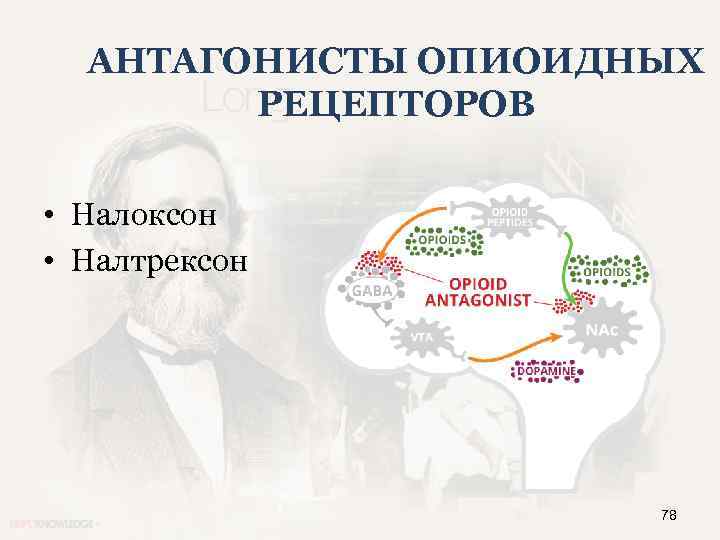 АНТАГОНИСТЫ ОПИОИДНЫХ РЕЦЕПТОРОВ • Налоксон • Налтрексон 78 