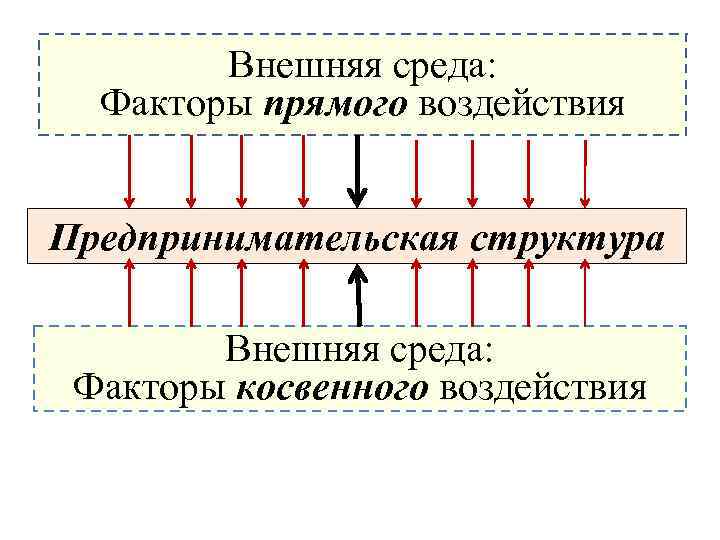 Внешняя среда: Факторы прямого воздействия факторы прямого воздействия: Предпринимательская структура Внешняя среда: Факторы косвенного