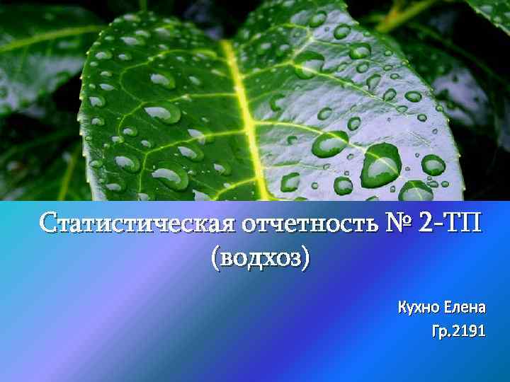 Статистическая отчетность № 2 -ТП (водхоз) Кухно Елена Гр. 2191 
