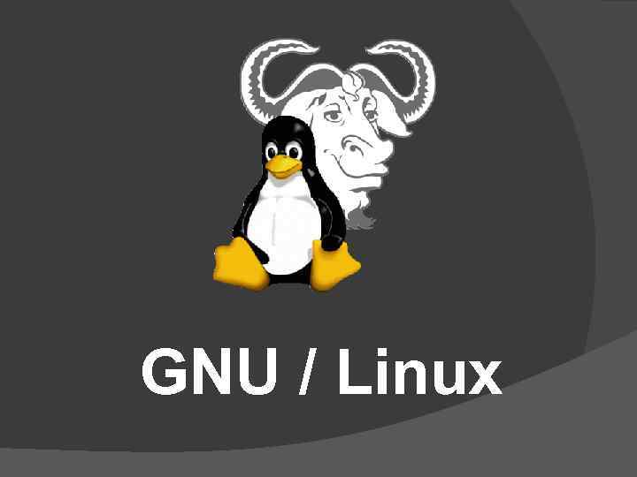 GNU / Linux 