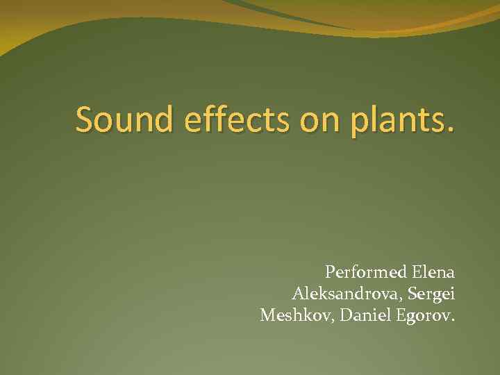 Sound effects on plants. Performed Elena Aleksandrova, Sergei Meshkov, Daniel Egorov. 