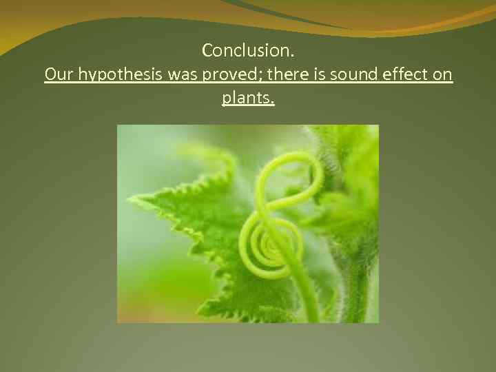 Conclusion. Our hypothesis was proved; there is sound effect on plants. 