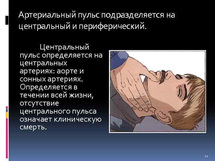 Артериальный пульс подразделяется на центральный и периферический. Центральный пульс определяется на центральных артериях: аорте