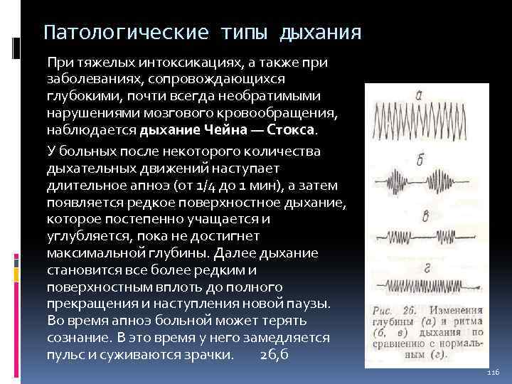 Патологические типы дыхания При тяжелых интоксикациях, а также при заболеваниях, сопровождающихся глубокими, почти всегда