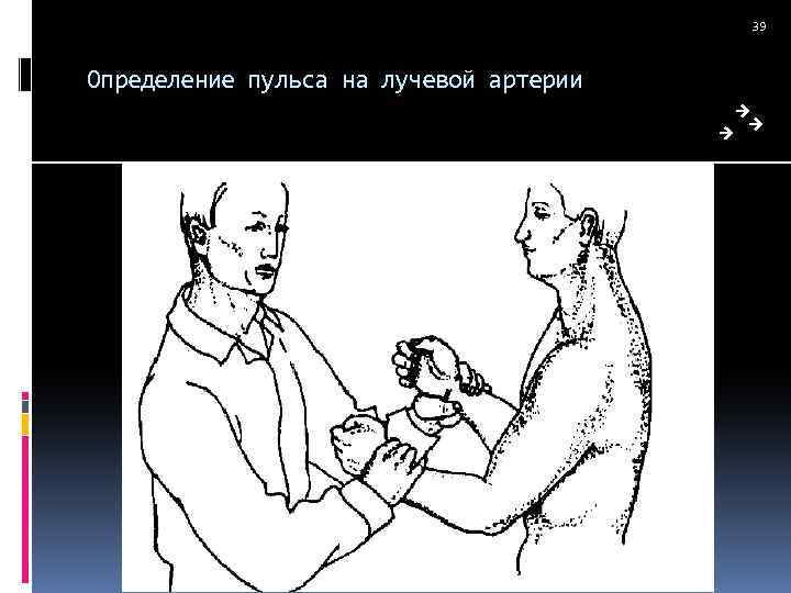 39 Определение пульса на лучевой артерии 