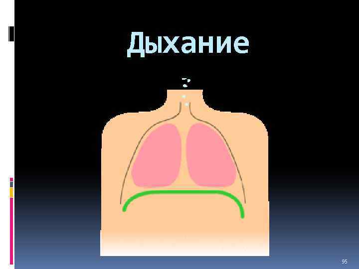 Дыхание 95 