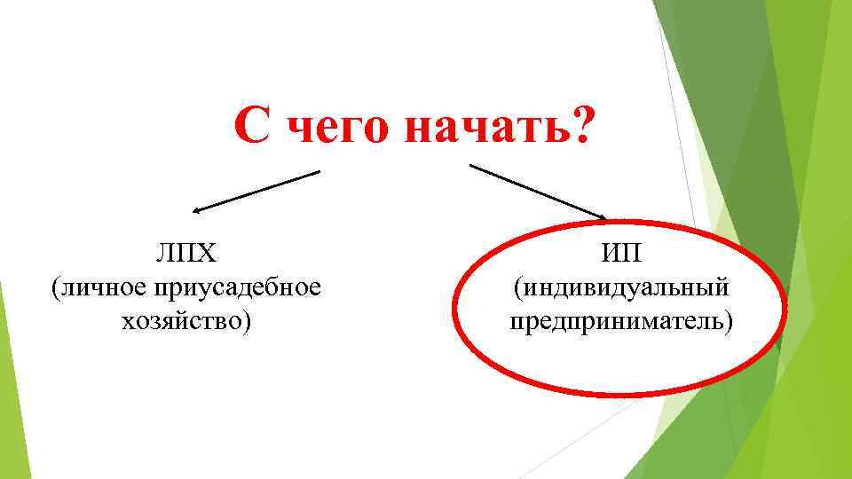 С чего начать? ЛПХ (личное приусадебное хозяйство) ИП (индивидуальный предприниматель) 