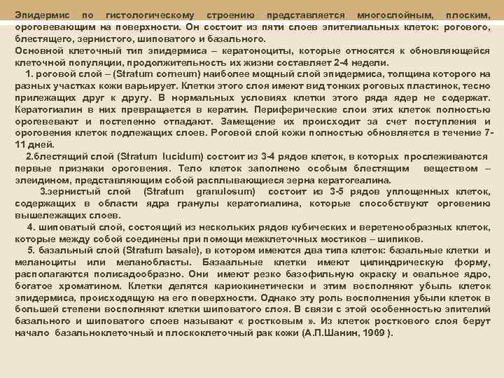 Эпидермис по гистологическому строению представляется многослойным, плоским, ороговевающим на поверхности. Он состоит из пяти
