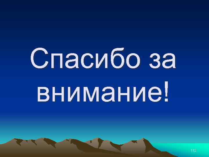 Спасибо за внимание! 112 