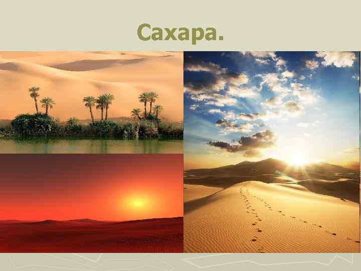 Сахара. 