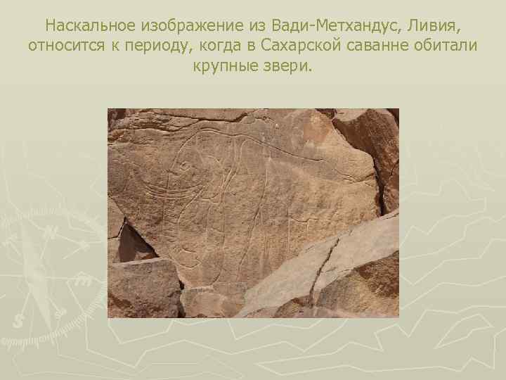 Наскальное изображение из Вади-Метхандус, Ливия, относится к периоду, когда в Сахарской саванне обитали крупные