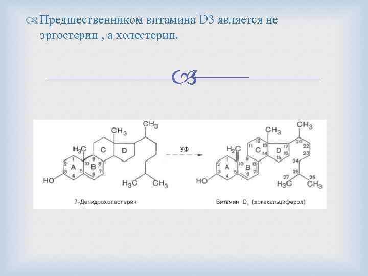  Предшественником витамина D 3 является не эргостерин , а холестерин. 