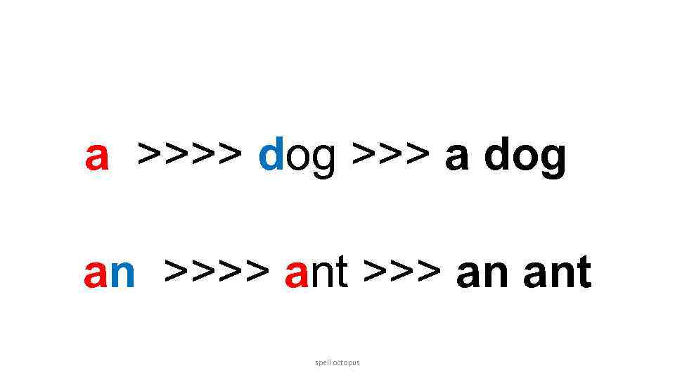 a >>>> dog >>> a dog an >>>> ant >>> an ant spell octopus