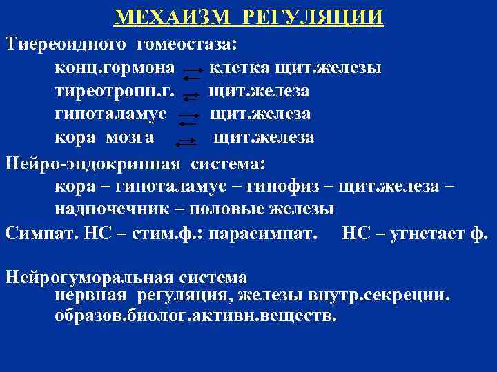 МЕХАИЗМ РЕГУЛЯЦИИ Тиереоидного гомеостаза: конц. гормона клетка щит. железы тиреотропн. г. щит. железа гипоталамус