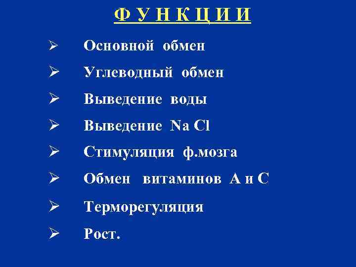 Ф У Н К Ц И И Ø Основной обмен Ø Углеводный обмен Ø